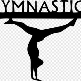 Сахалинские гимнастки приняли участие в первенстве ДВФО