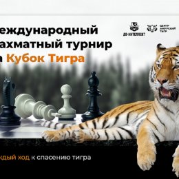 Сахалинские шахматисты приняли участие в международном блиц-турнире