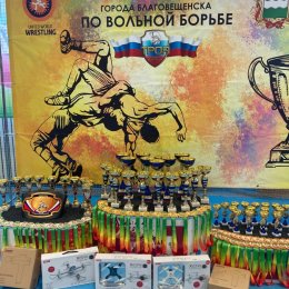 Островные борцы завоевали дюжину медалей на представительном турнире в Благовещенске