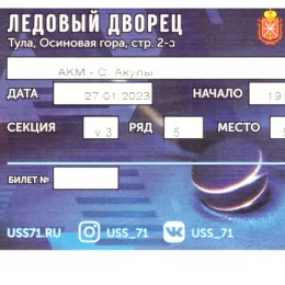 "АКМ" (Тула) - "Сахалинские акулы"