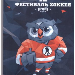 XII фестиваль "Ночной хоккейной лиги" (с участием "Вулкана" из Северо-Курильска)