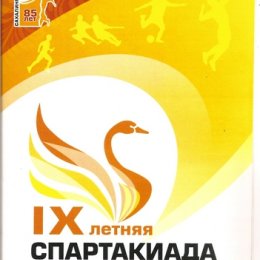 Спартакиада ОАО "НК "Роснефть". Турнир по мини-футболу с участием ОАО "РН-Сахалинморнефтегаз".