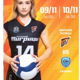 Четвертый тур чемпионата России среди женских команд высшей лиги "А" (Хабаровск)