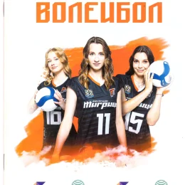 Десятый тур чемпионата России среди женских команд высшей лиги "А" (Хабаровск)