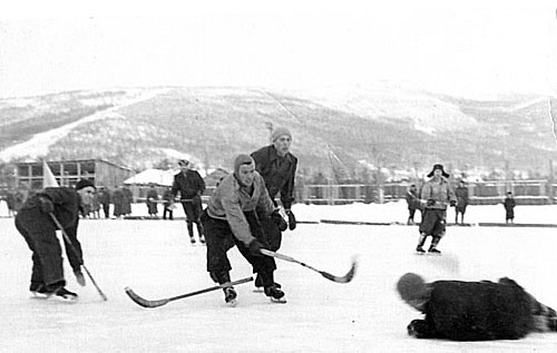Хоккей