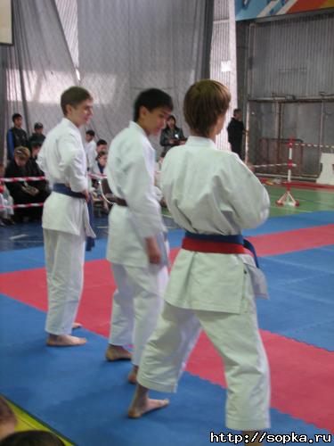 Командное первенство области  по каратэ-до Сетокан по правилам WKF- 2007