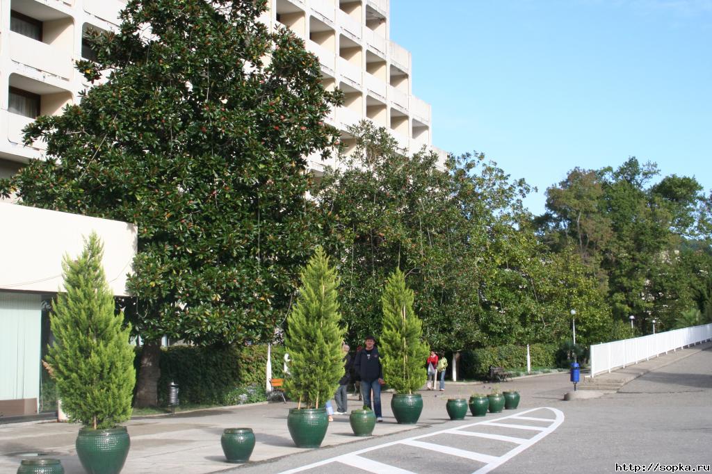 Первенство России - 2007