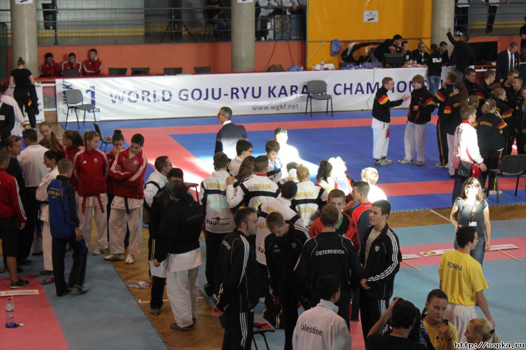 I Чемпионат Мира по каратэ Годзю-Рю
