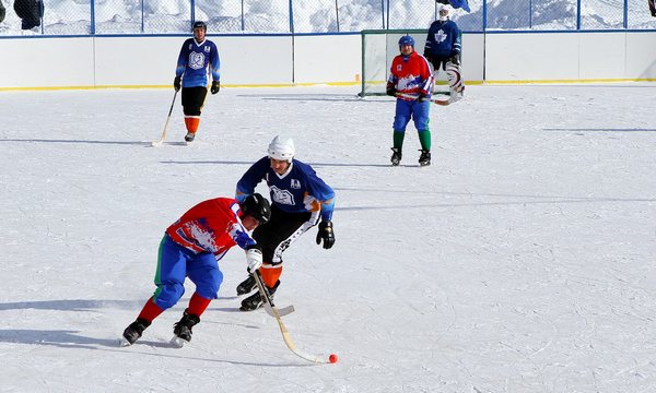 Чемпионат Сахалинской области 2012 года