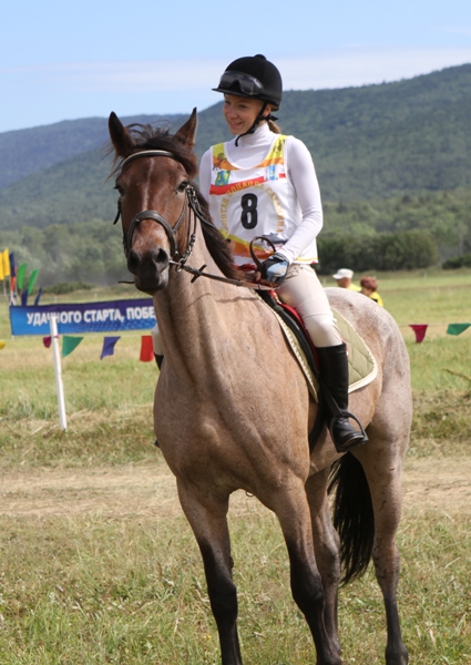 Конноспортивные соревнования