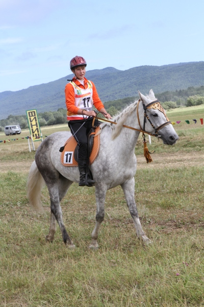 Конноспортивные соревнования