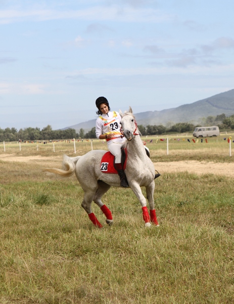 Конноспортивные соревнования