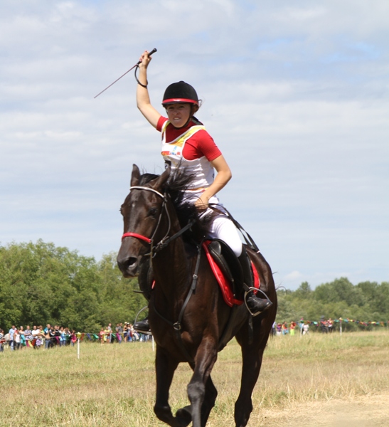 Конноспортивные соревнования