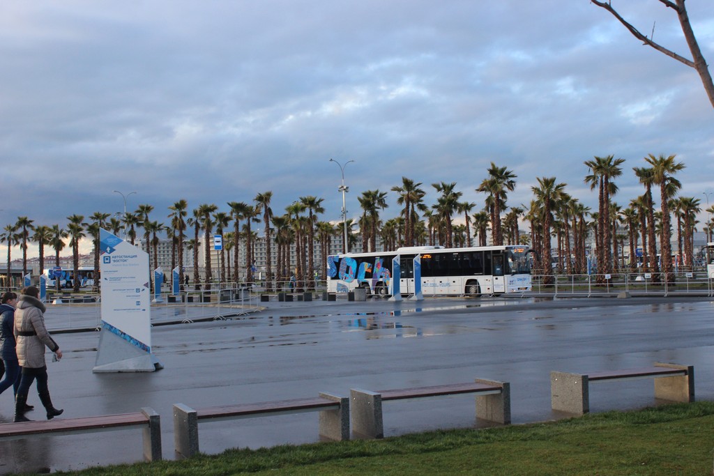 Паралимпиада в Сочи