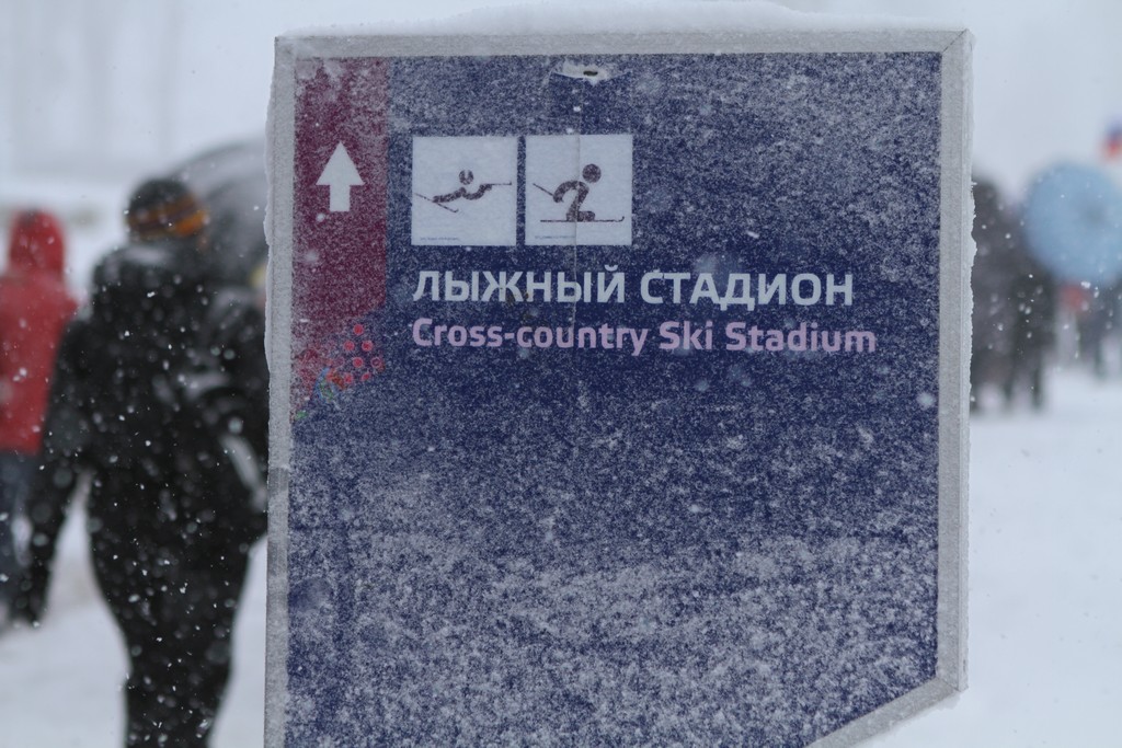 Паралимпиада в Сочи