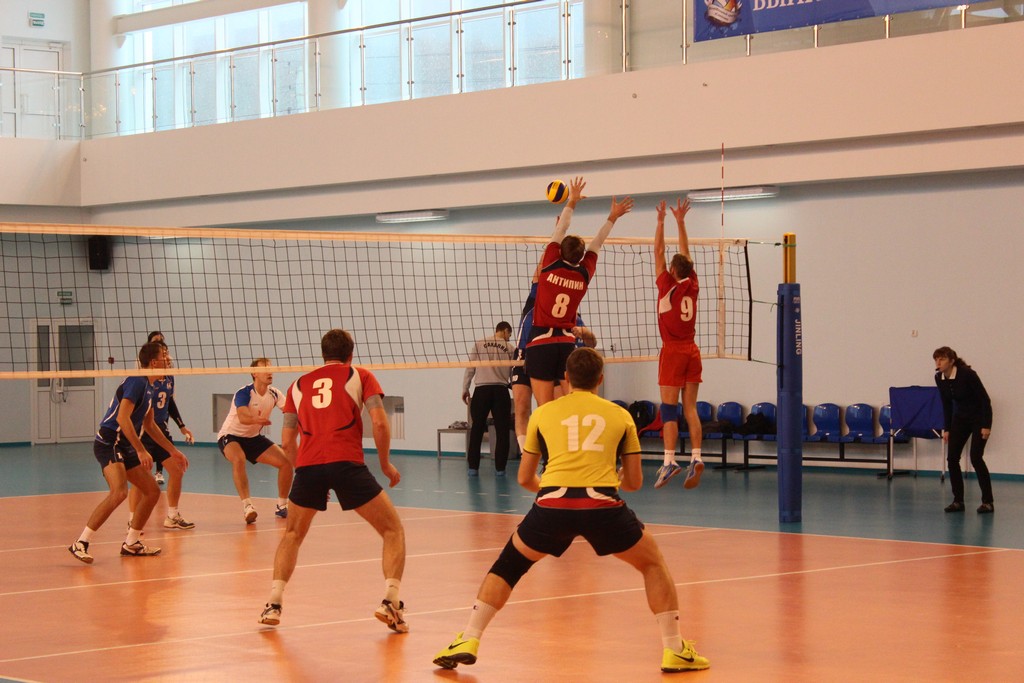 Чемпионат области 2014 года по волейболу