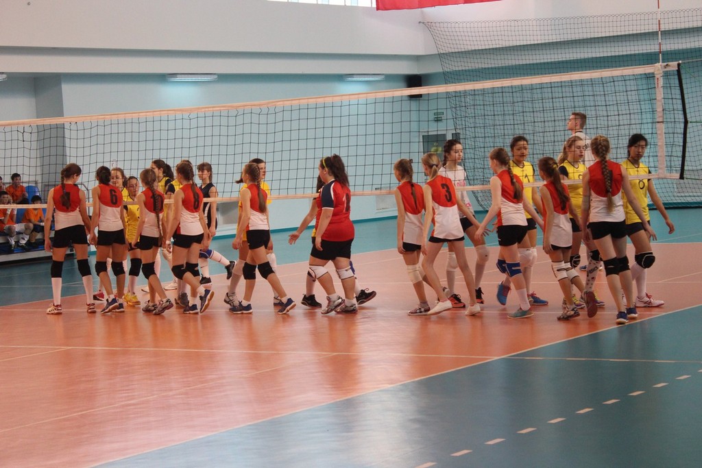 Первенство области по волейболу среди юношей и девушек 2001 – 2002 г.р.