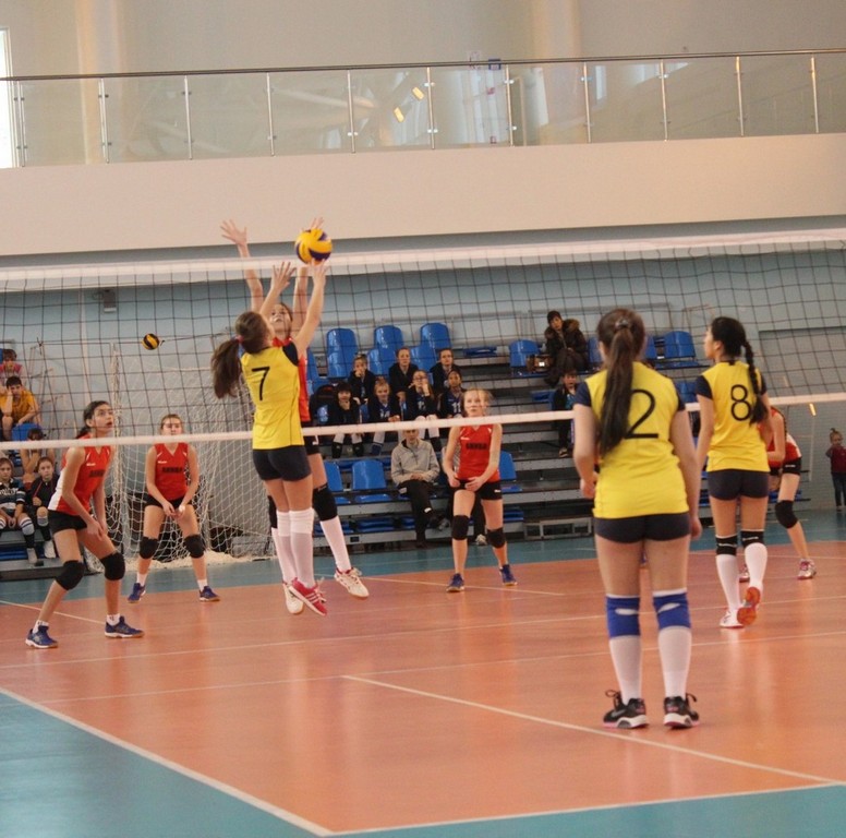 Первенство области по волейболу среди юношей и девушек 2001 – 2002 г.р.