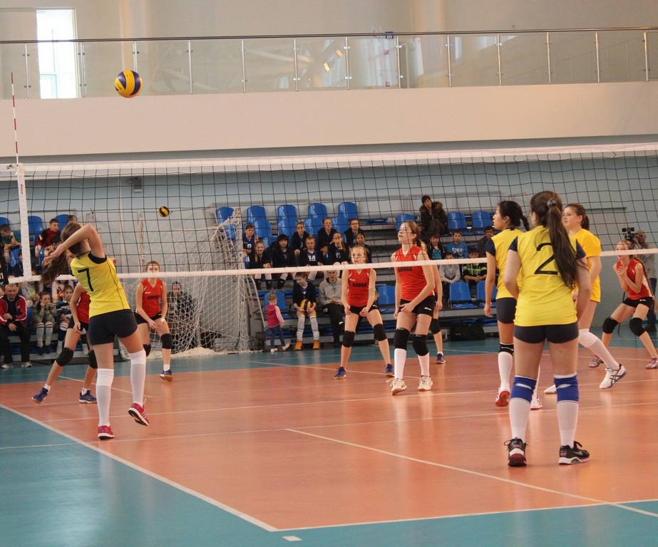 Первенство области по волейболу среди юношей и девушек 2001 – 2002 г.р.