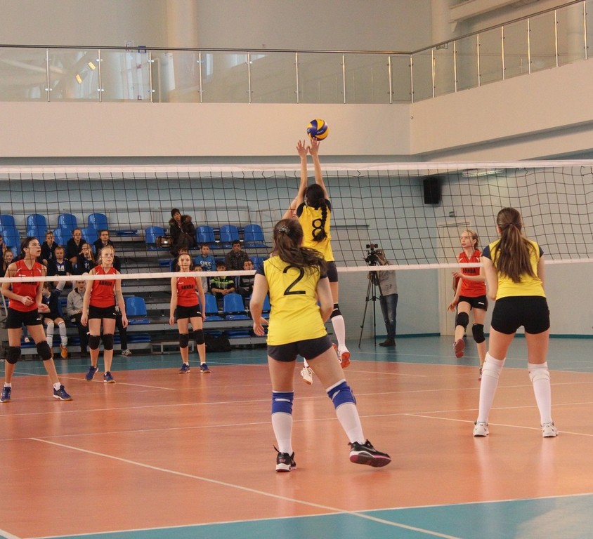 Первенство области по волейболу среди юношей и девушек 2001 – 2002 г.р.