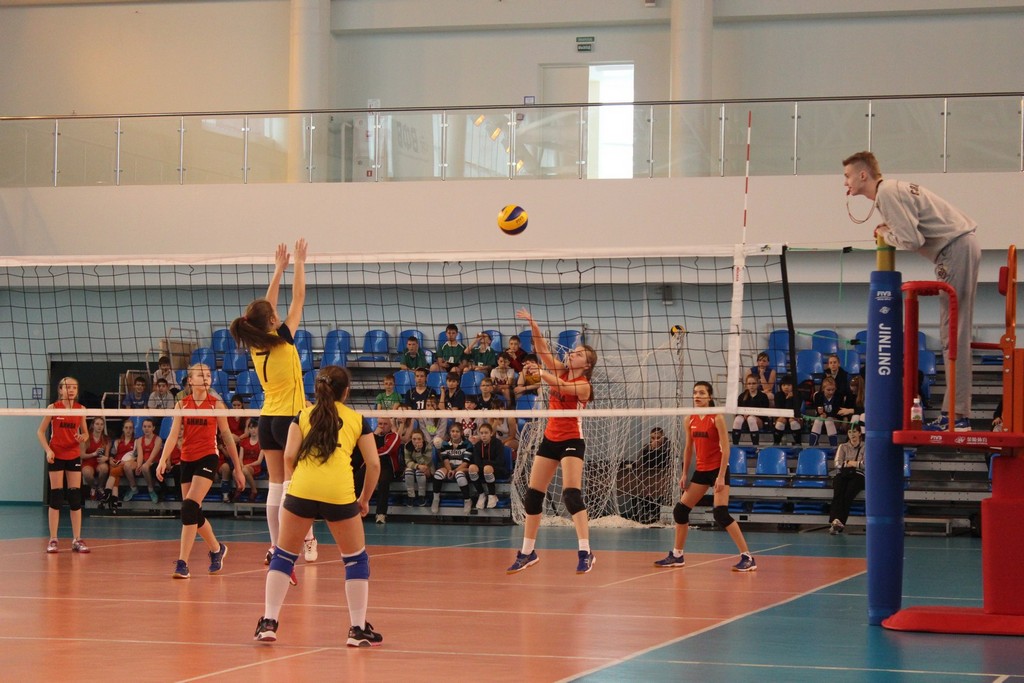 Первенство области по волейболу среди юношей и девушек 2001 – 2002 г.р.