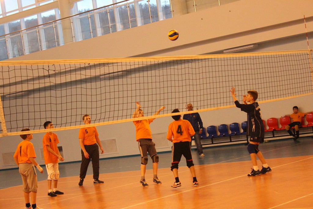 Первенство области по волейболу среди юношей и девушек 2001 – 2002 г.р.