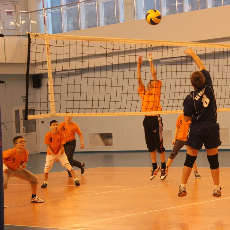 Первенство области по волейболу среди юношей и девушек 2001 – 2002 г.р.