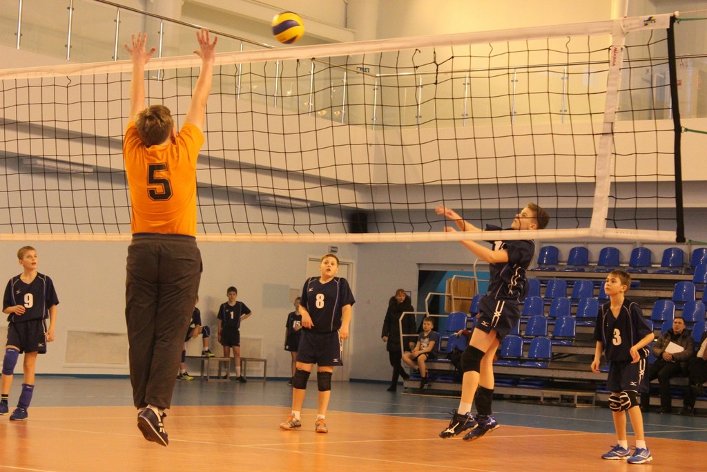 Первенство области по волейболу среди юношей и девушек 2001 – 2002 г.р.