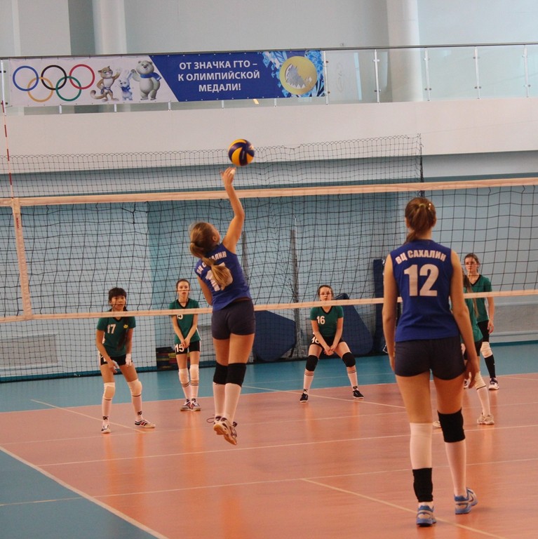 Первенство области по волейболу среди юношей и девушек 2001 – 2002 г.р.