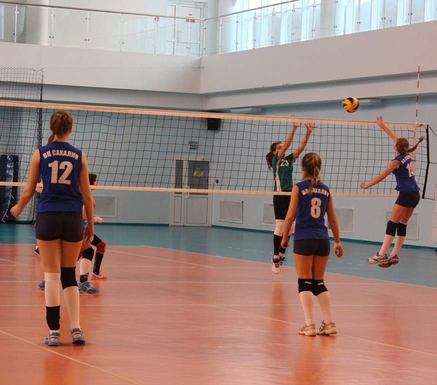 Первенство области по волейболу среди юношей и девушек 2001 – 2002 г.р.