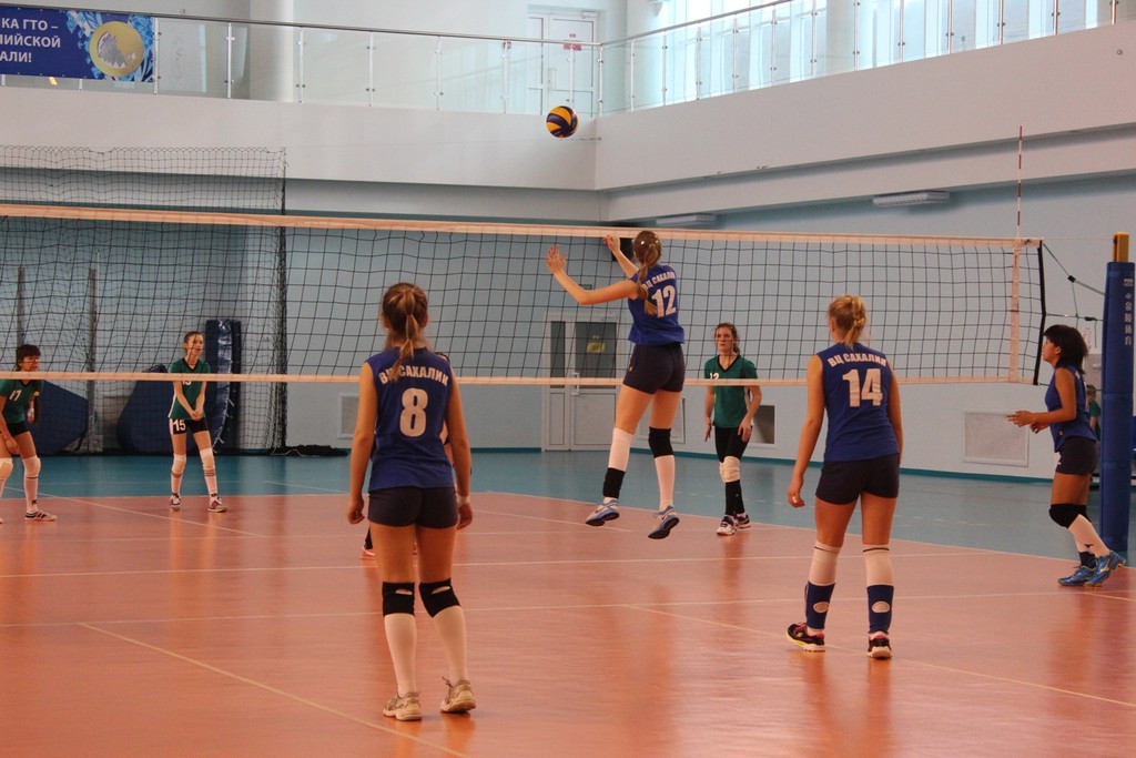 Первенство области по волейболу среди юношей и девушек 2001 – 2002 г.р.