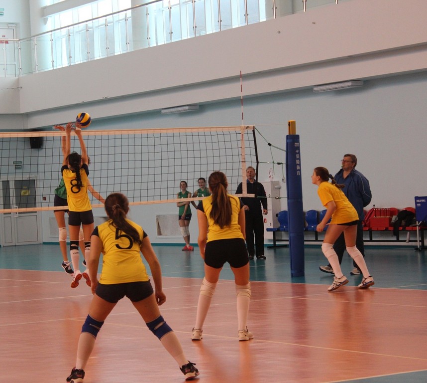 Первенство области по волейболу среди юношей и девушек 2001 – 2002 г.р.