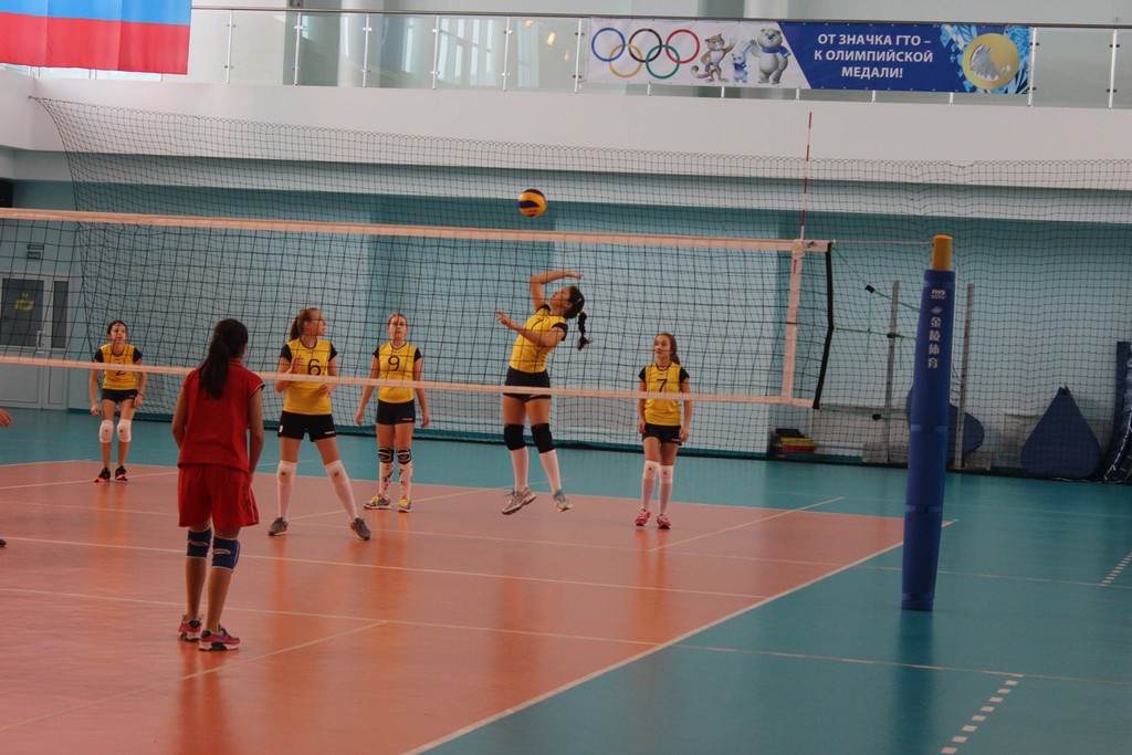 Первенство области по волейболу среди юношей и девушек 2001 – 2002 г.р.