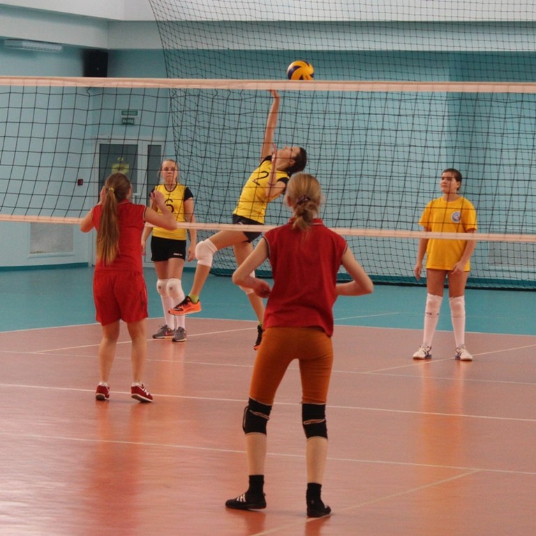 Первенство области по волейболу среди юношей и девушек 2001 – 2002 г.р.