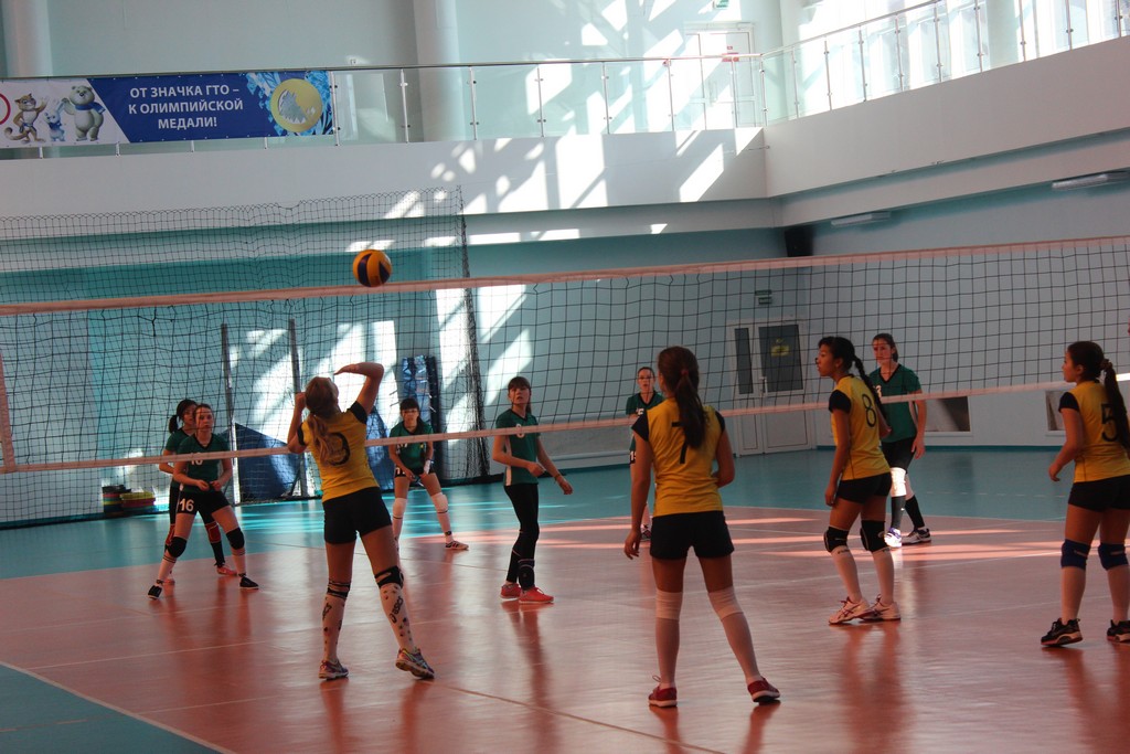 Первенство области по волейболу среди юношей и девушек 2001 – 2002 г.р.