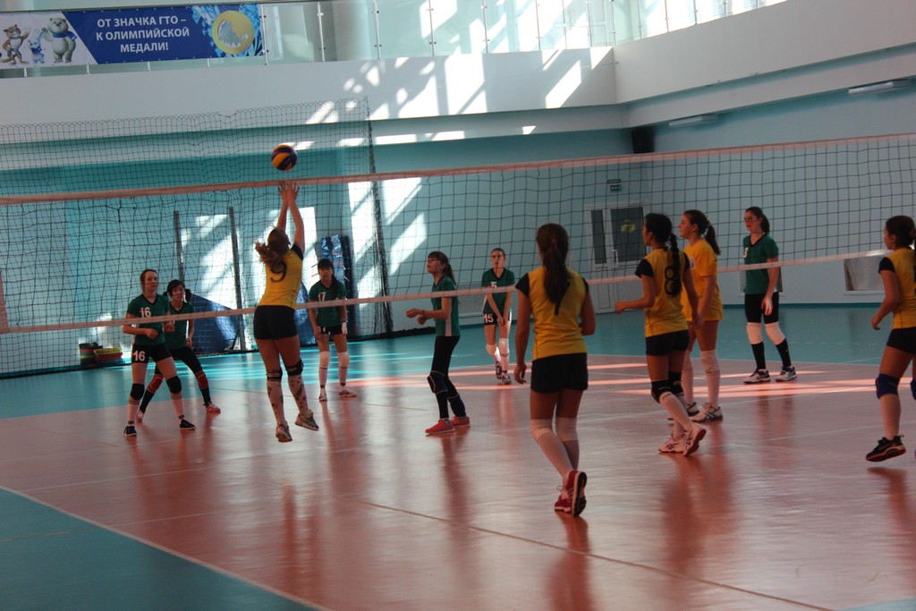 Первенство области по волейболу среди юношей и девушек 2001 – 2002 г.р.