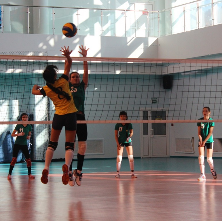 Первенство области по волейболу среди юношей и девушек 2001 – 2002 г.р.