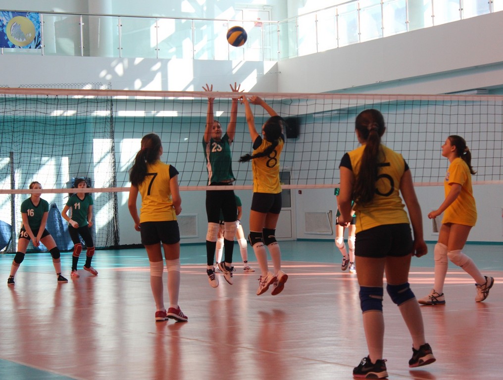 Первенство области по волейболу среди юношей и девушек 2001 – 2002 г.р.