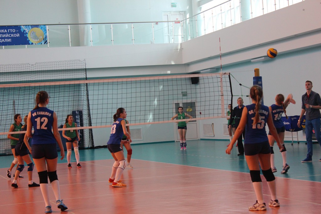 Первенство области по волейболу среди юношей и девушек 2001 – 2002 г.р.