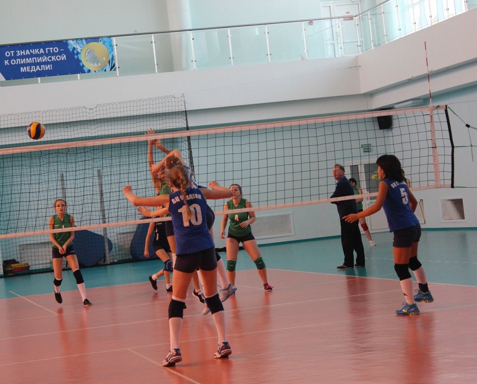 Первенство области по волейболу среди юношей и девушек 2001 – 2002 г.р.