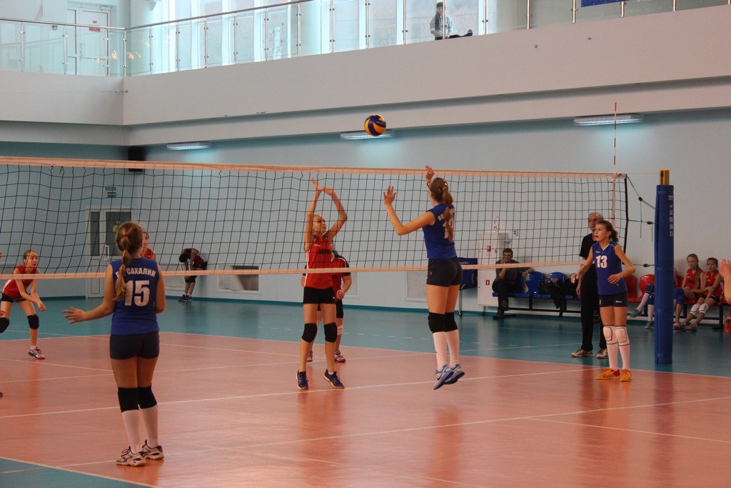Первенство области по волейболу среди юношей и девушек 2001 – 2002 г.р.