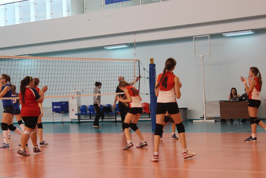 Первенство области по волейболу среди юношей и девушек 2001 – 2002 г.р.