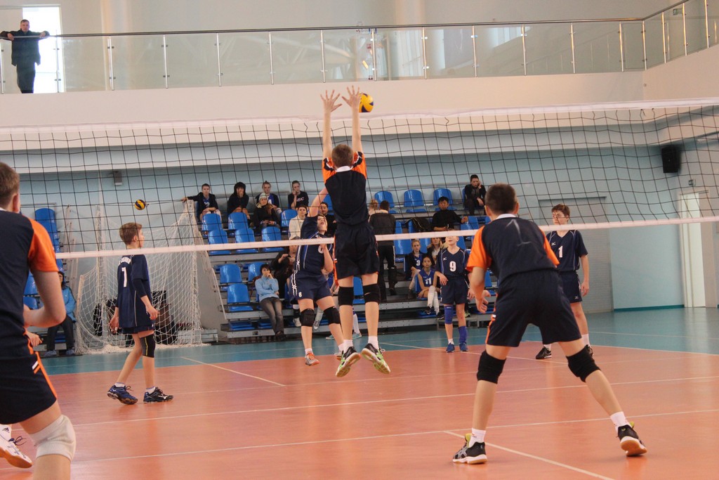 Первенство области по волейболу среди юношей и девушек 2001 – 2002 г.р.