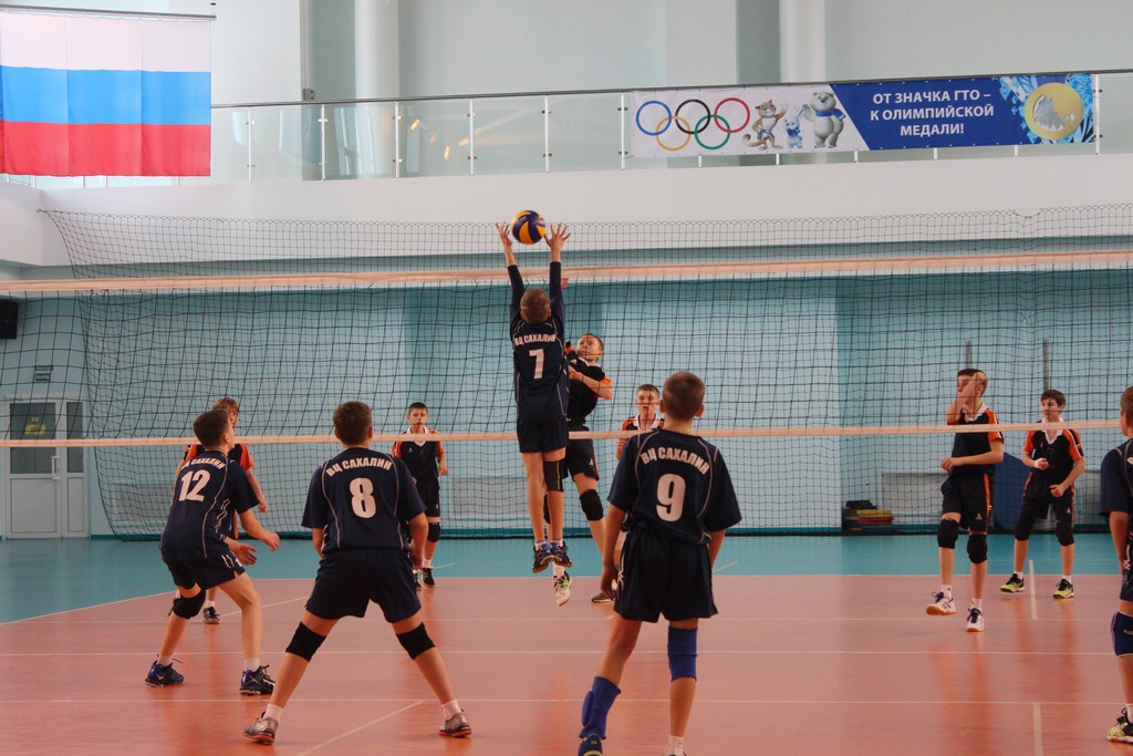 Первенство области по волейболу среди юношей и девушек 2001 – 2002 г.р.