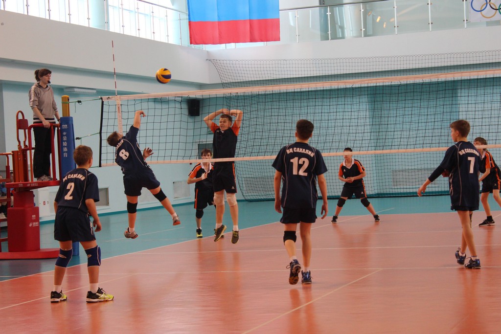 Первенство области по волейболу среди юношей и девушек 2001 – 2002 г.р.