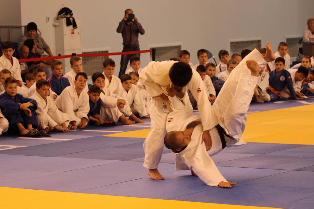 Международный юношеский турнир по дзюдо_2015