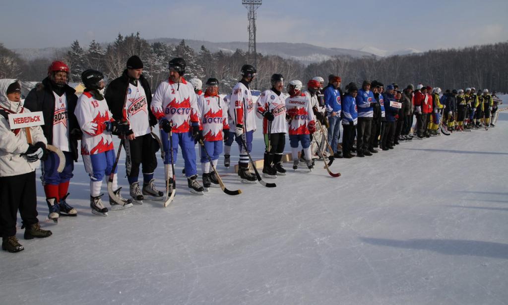 Чемпионат области по хоккею с мячом