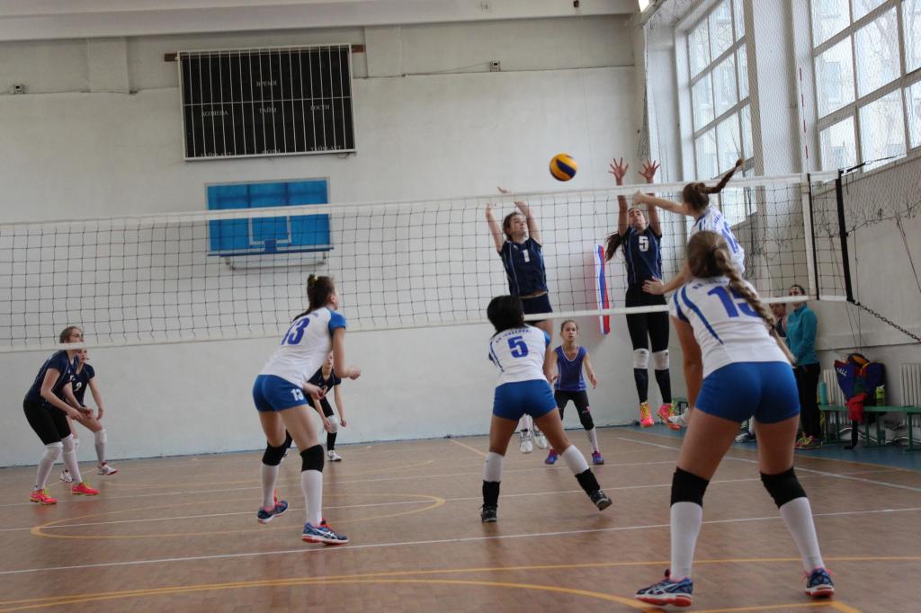 Волейбольный турнир памяти Николая Ельченинова