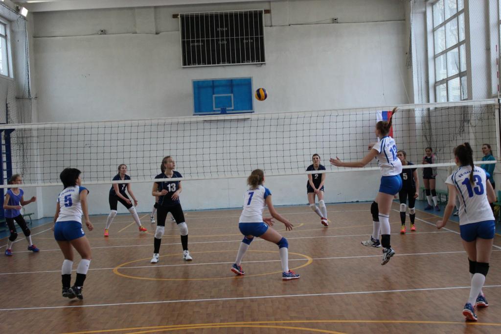 Волейбольный турнир памяти Николая Ельченинова