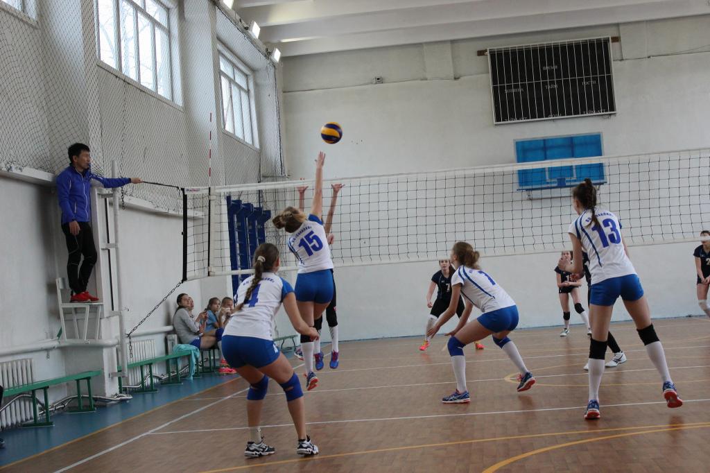 Волейбольный турнир памяти Николая Ельченинова